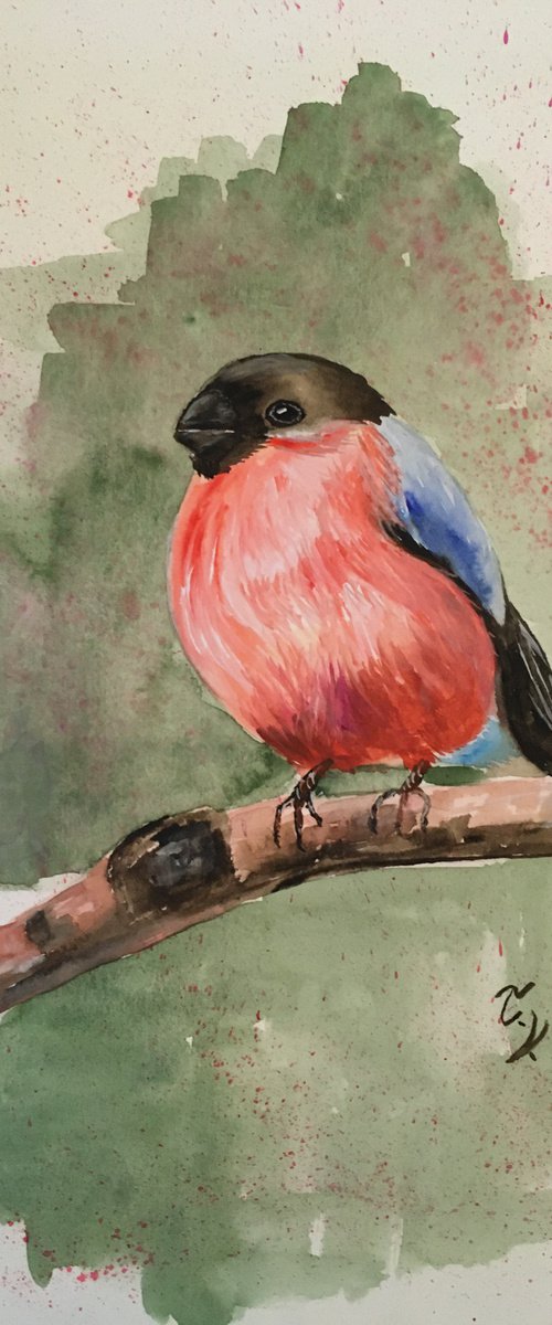 Little Bullfinch by Timea  Valsami