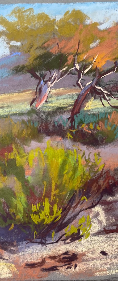 African landscape by Anna Bogushevskaya