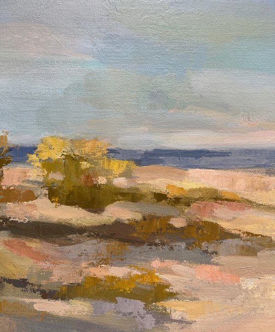 Sunshine Dunes
