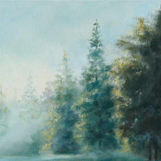 Misty lake in a pine forest