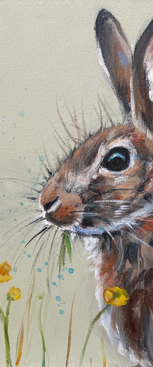 Spring Bunny by Louise Brown