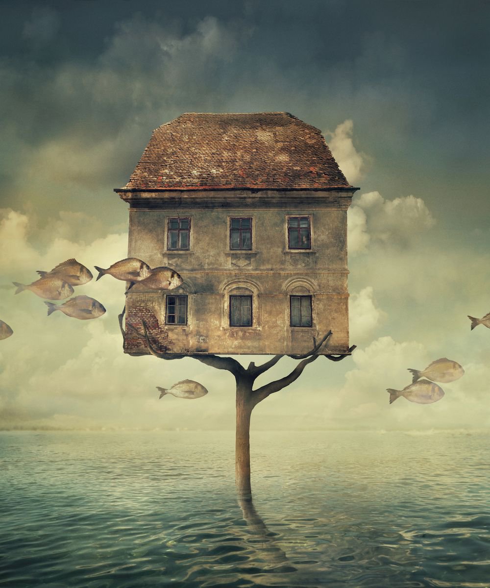 Surrealistic Animal Photograph By Nikolina Petolas, 23 X 27", Journey, Original Artwork