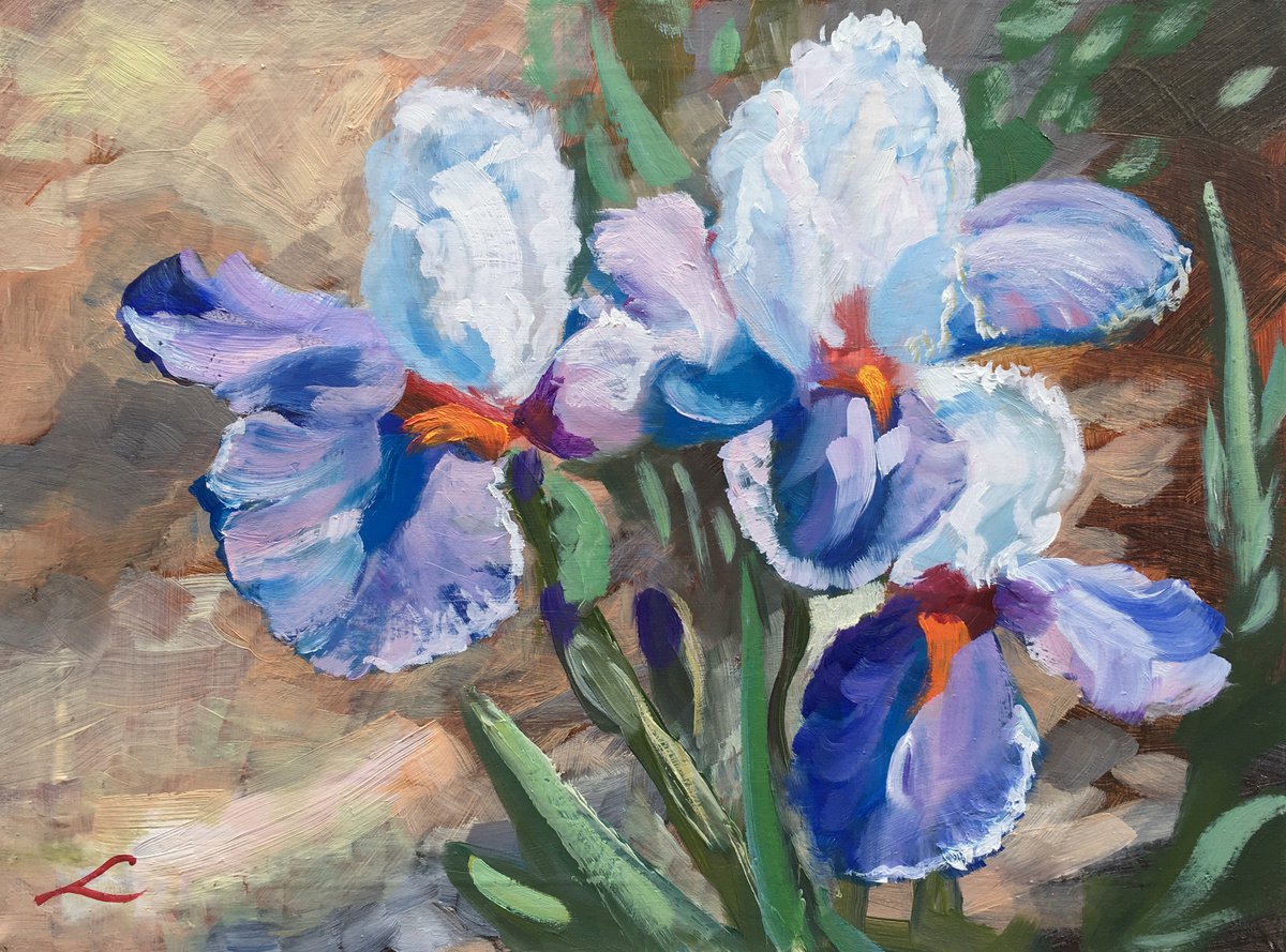 Impressionistic Botanical Oil Painting By Elena Sokolova, 16 X 12, Irises, Original Artwork