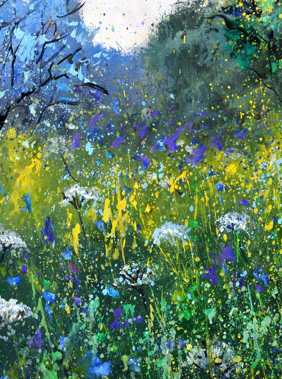 White and blue Wild flowers