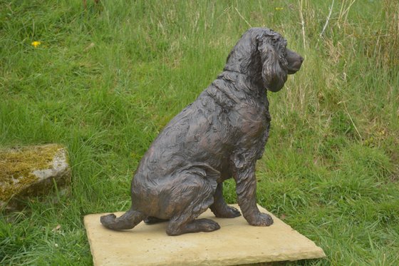 Working Spaniel FB