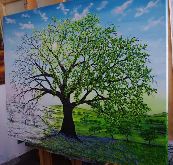 Oak of Winter to Spring