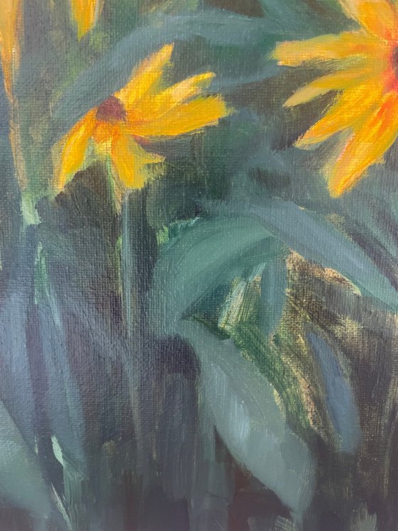 august flowers