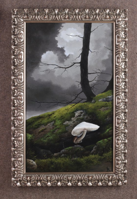 The secret of Forgotten Forest