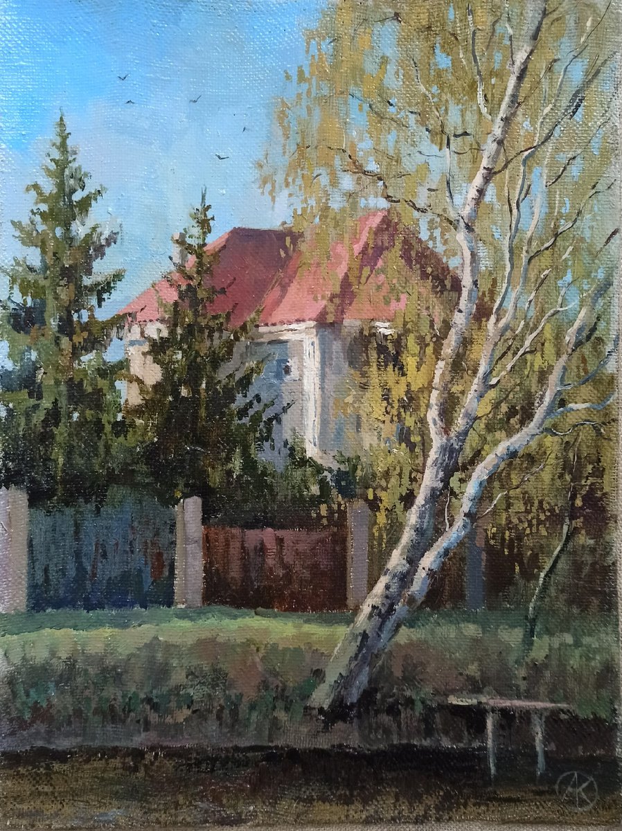House in Vnukovo village by Olga Goryunova