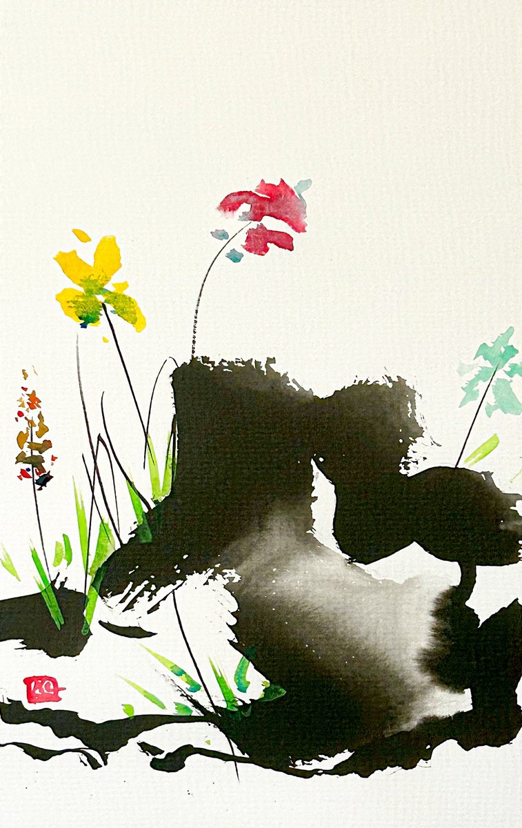 wild garden and flowers by Deke Wightman