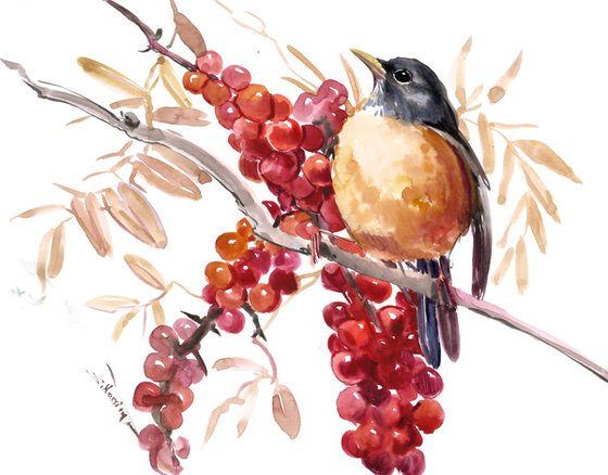 American Robin Bird Art