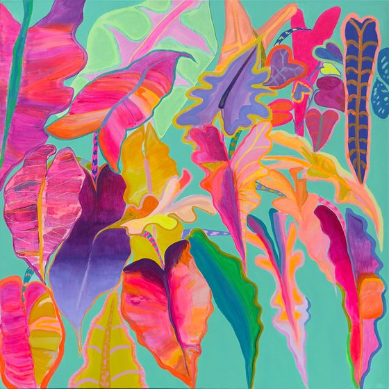 'Rainbow Alocasia'
