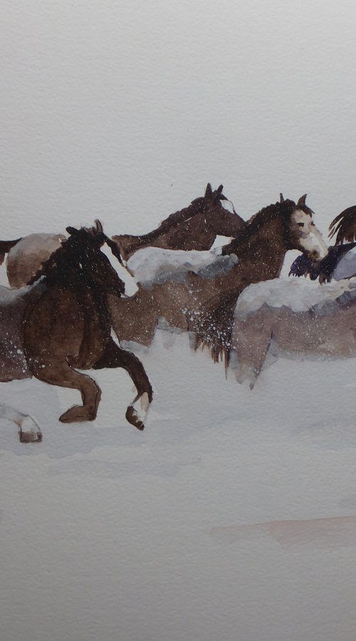 Horses in the Snow by David Harmer