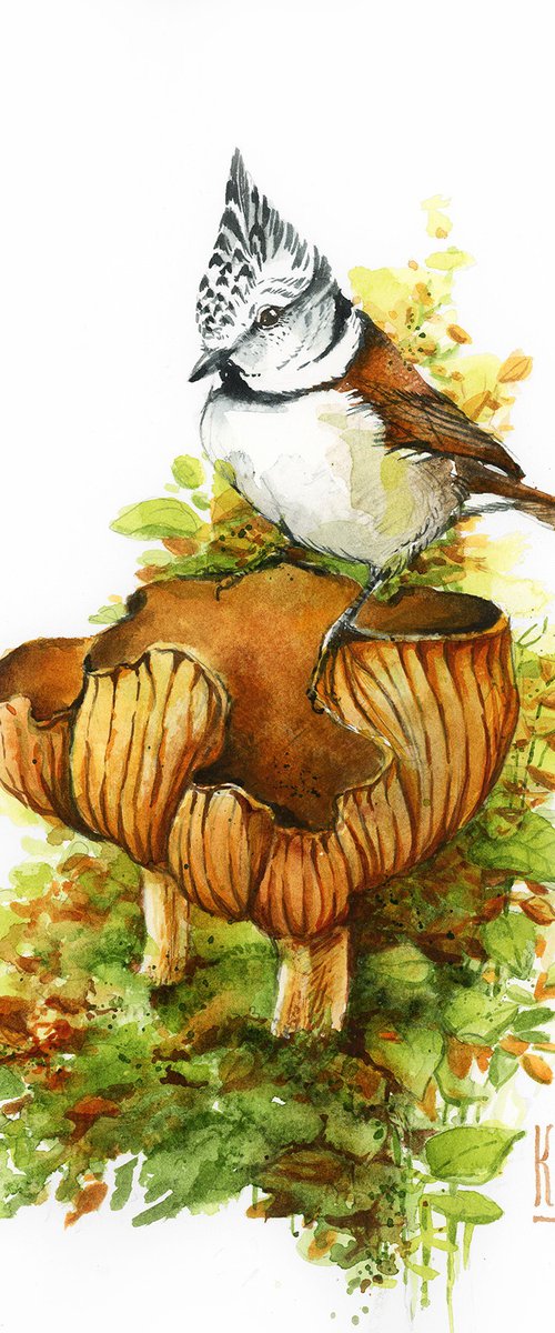 Crested tit by Karolina Kijak