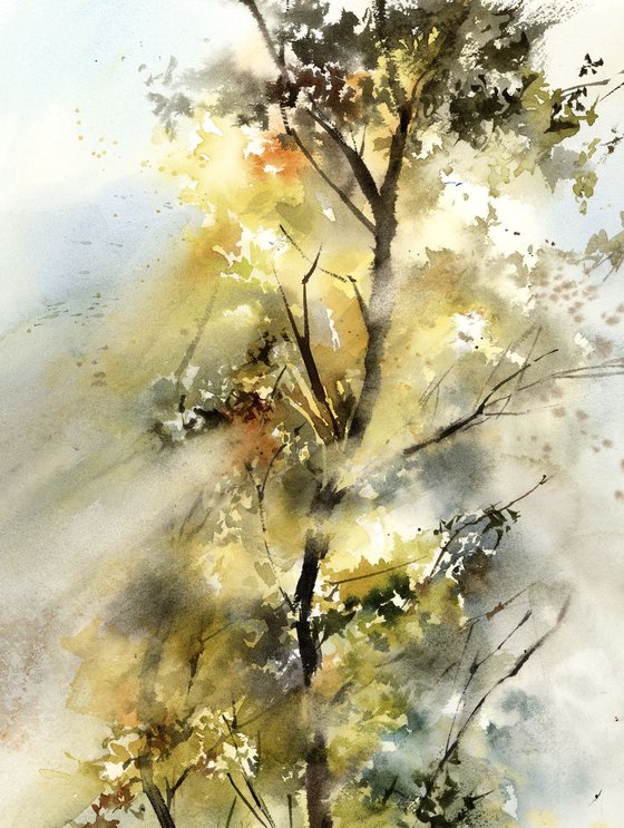 Light through the tree Watercolor Painting