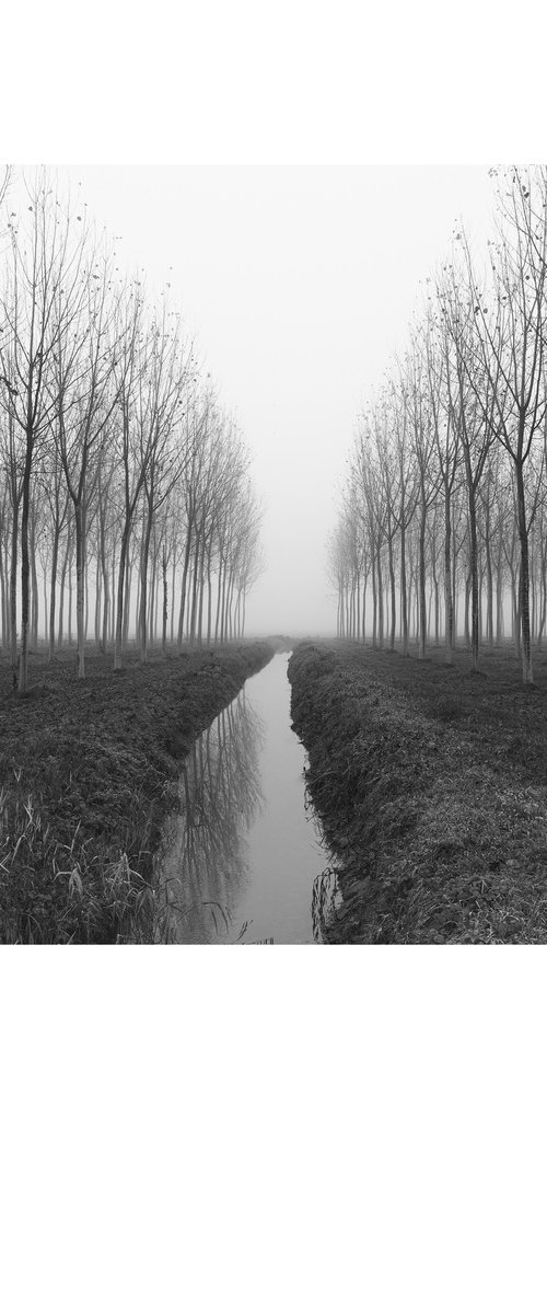 Crossing by Maurizio Landriscina