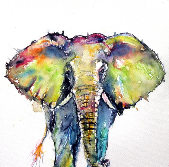 Colorful elephant