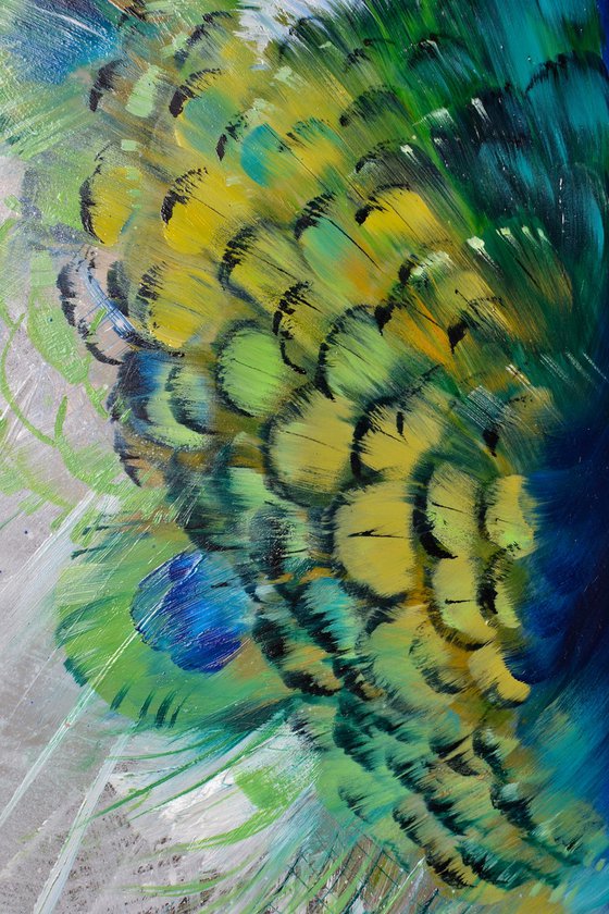 ROYAL PEACOCK