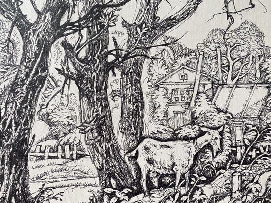 Landscape with a goat