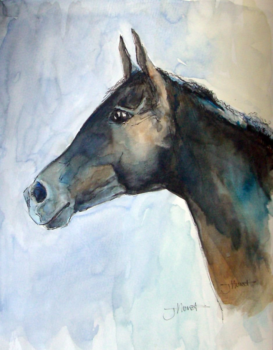 Thoroughbred Racehorse Portrait by J Howat