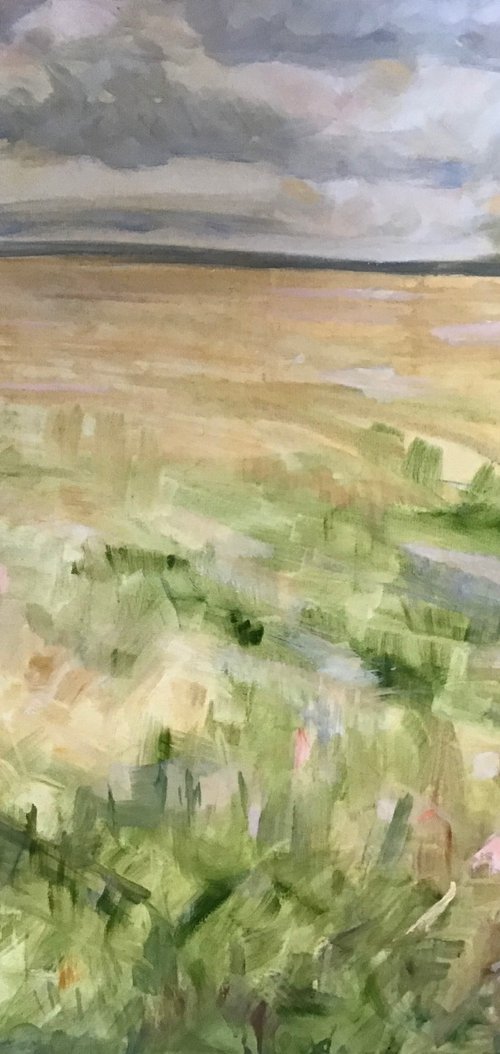 Across the Plateau by Sandra Haney
