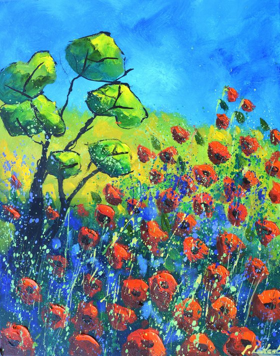 Poppies in Provence 4525