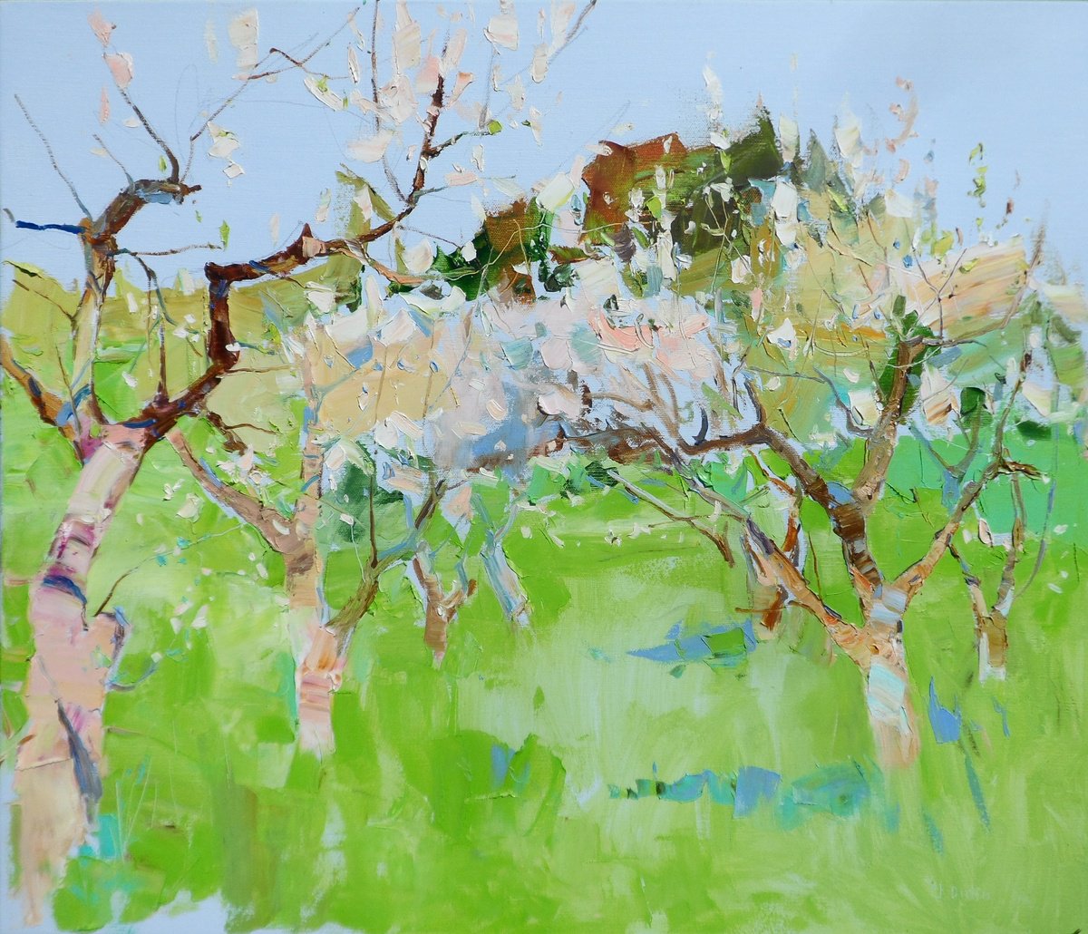Impressionistic Landscape Oil Painting By Yehor Dulin, 28 X 24", "Apple Orchard", Original Artwork