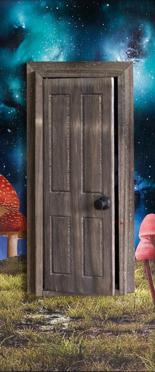 OPEN THE DOOR by lysergic