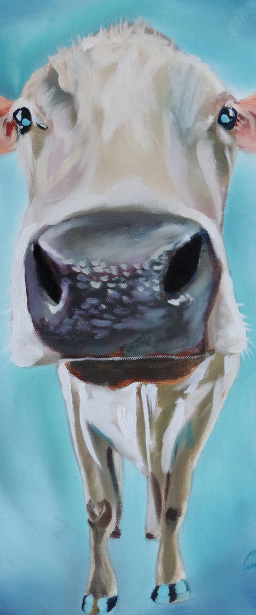 Cow by Gordon Bruce