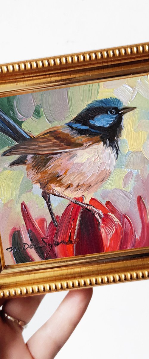 Fairywren bird by Nataly Derevyanko