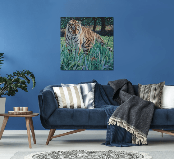 Amur Tiger - First Encounter