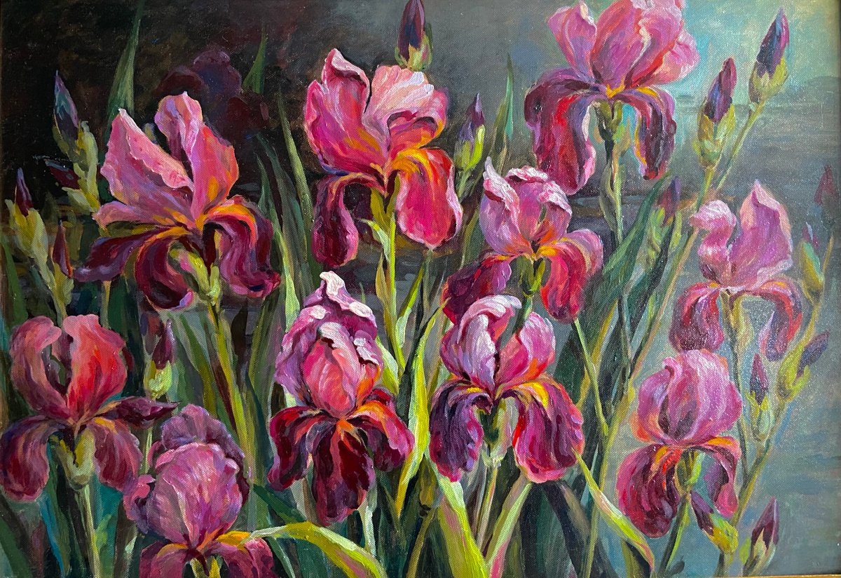 Impressionistic Botanical Oil Painting By Galyna Shevchencko, 24 X 16, Iris Flowers, Original Artwork
