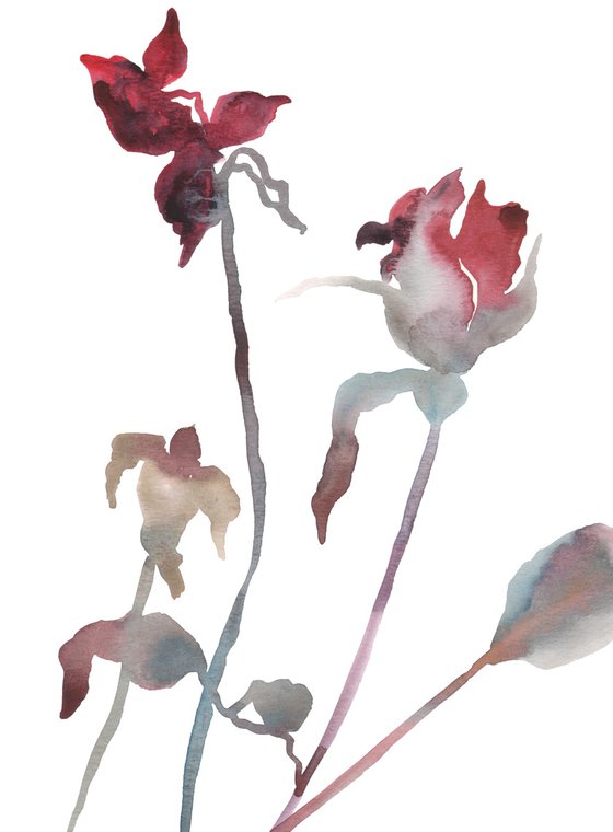 Rose Study No. 11