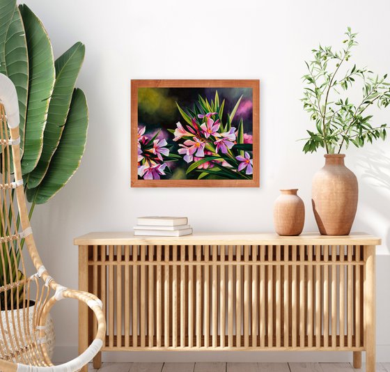 Pink oleander flowers with sunlight