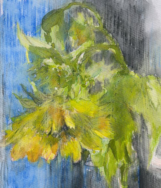 Still life with sunflower.