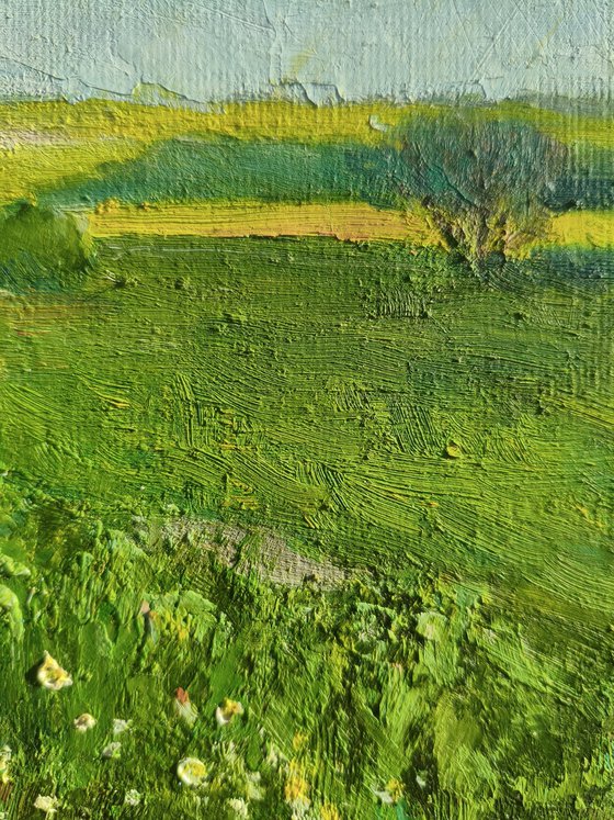 Field of wildflowers