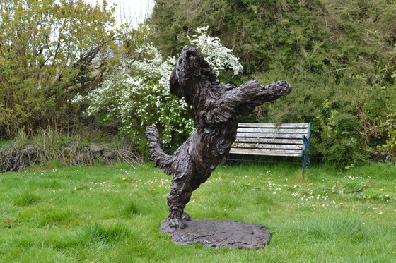 Leaping Bearded Collie Resin