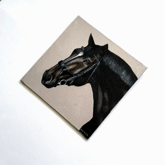 Horse Portrait 11