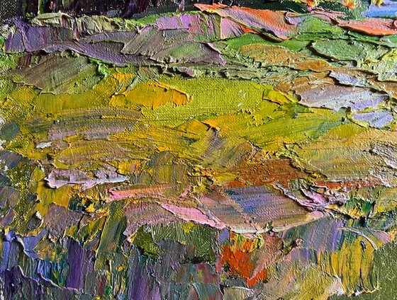 In the Summer Forest