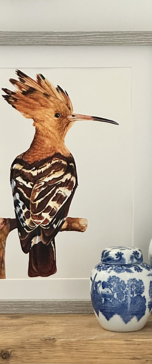Hoopoe Bird Painting by Irsa Ervin