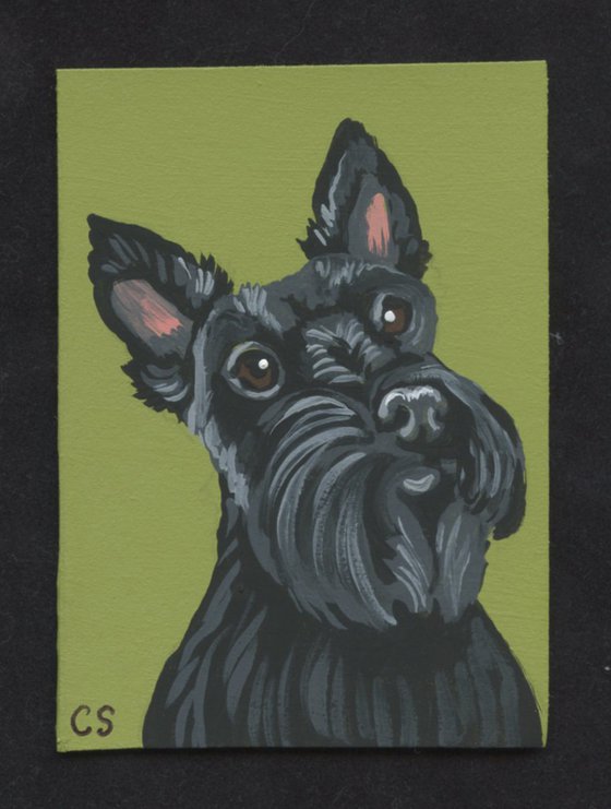 ACEO ATC Original Miniature Painting Black Scottish Terrier Pet Dog Art-Carla Smale