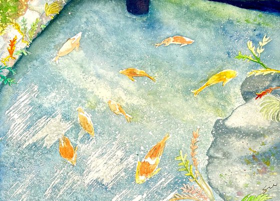 Where Koi and Light Drift