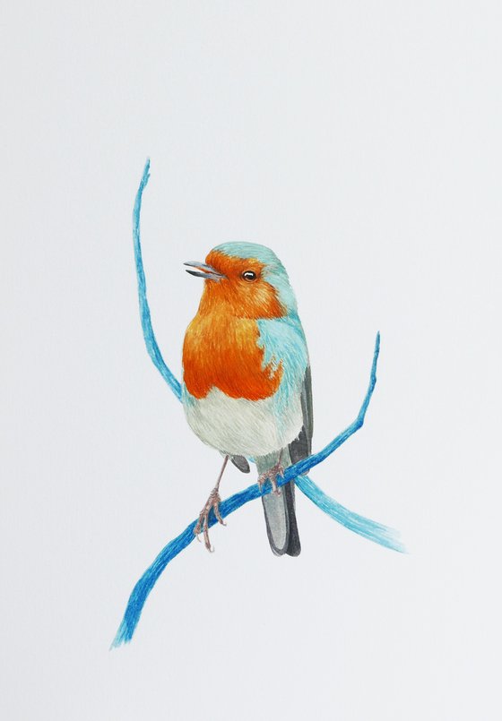 Robin with two branches