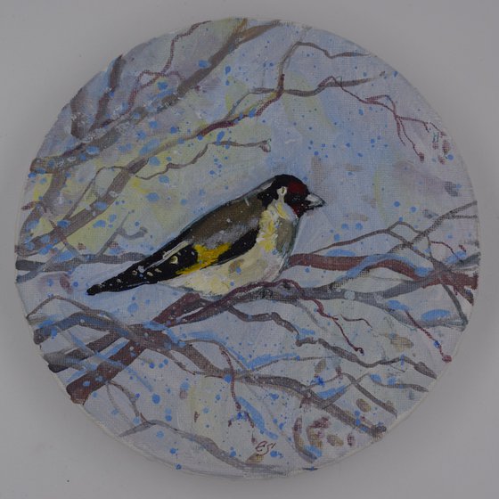 Goldfinch - 1