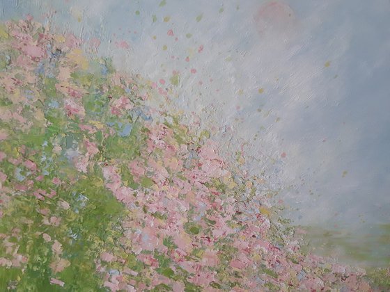 PINK SUMMER MORNING