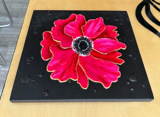 Anemone