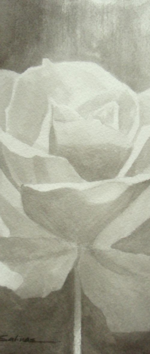 Black & White Rose by Natalia Salinas Mariscal