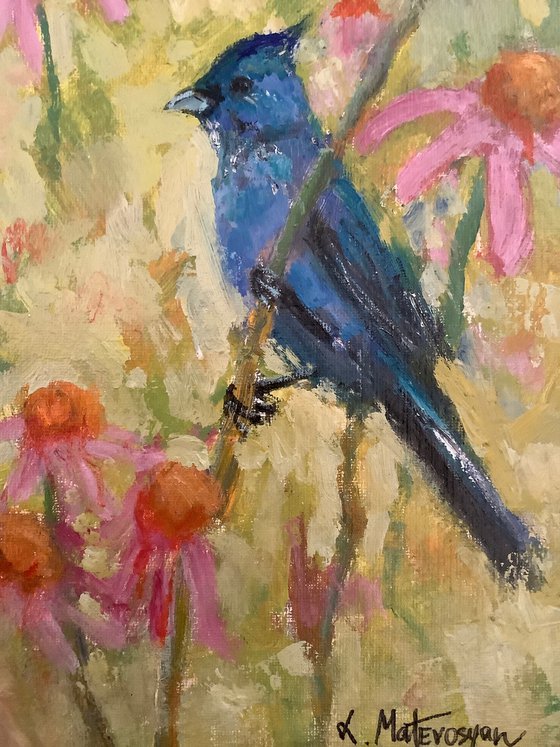 Garden Bird