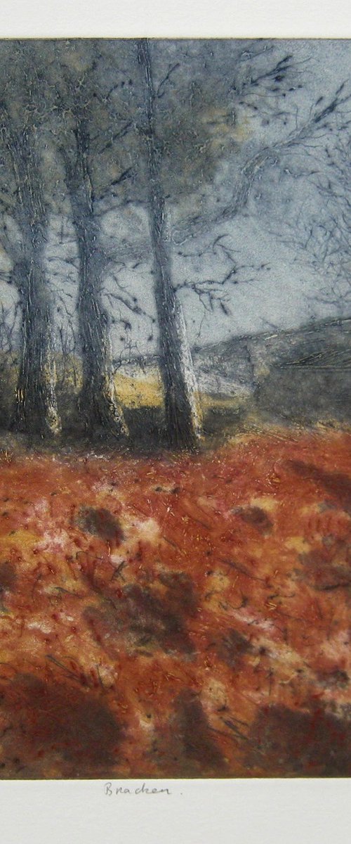 "Bracken" - Irish Landscape by Aidan Flanagan Irish Landscapes