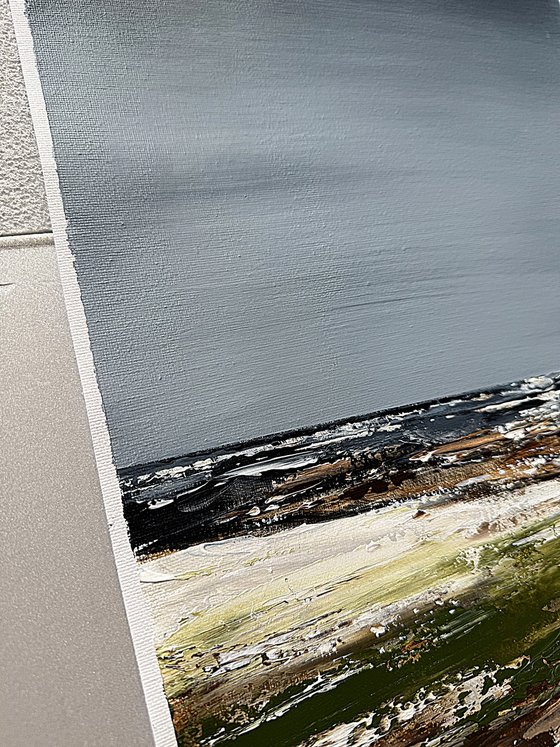 Coastal Fields in Grey Light